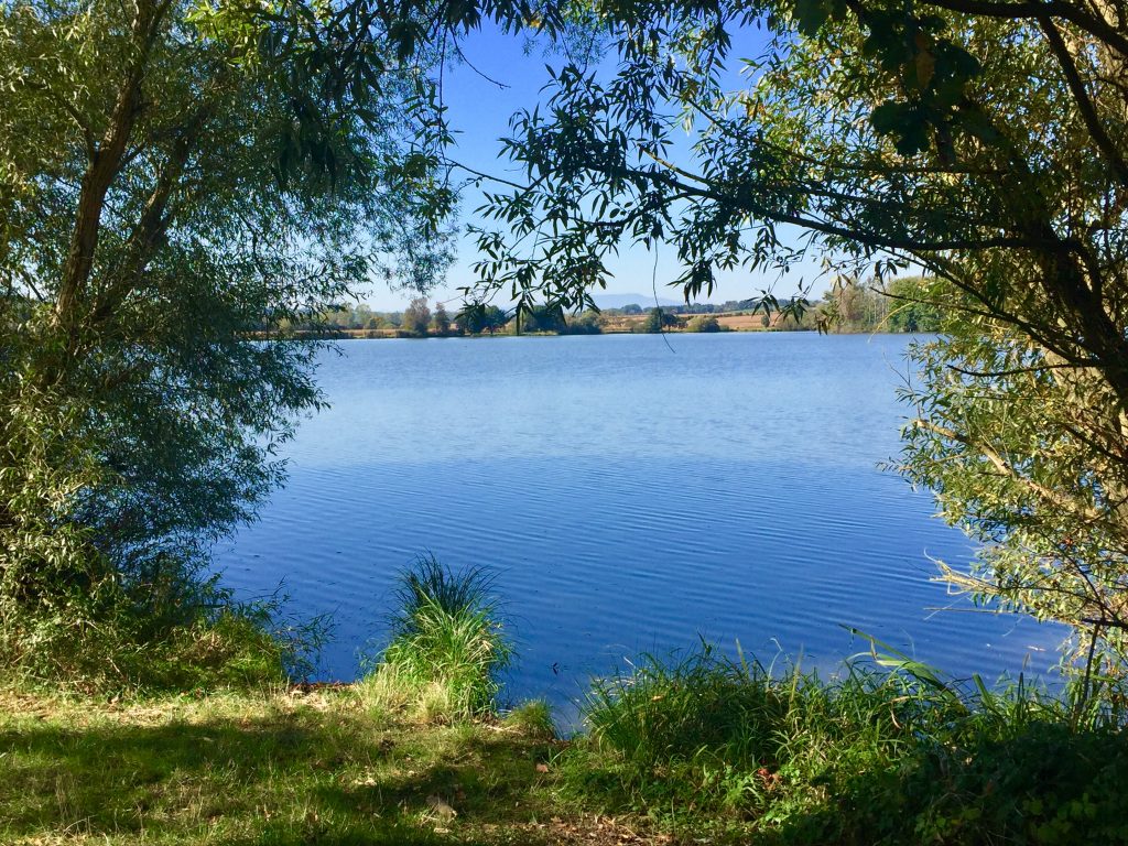 IMG 0108 1024x768 - Natur erleben und genießen