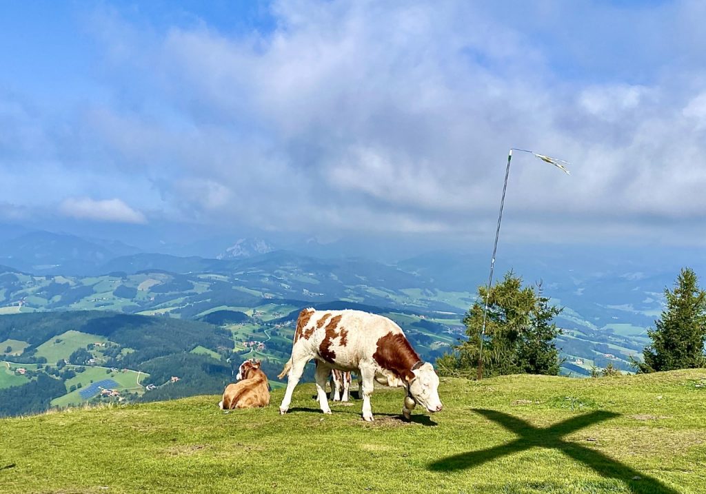 Foto Berge 1024x717 - Natur erleben und genießen